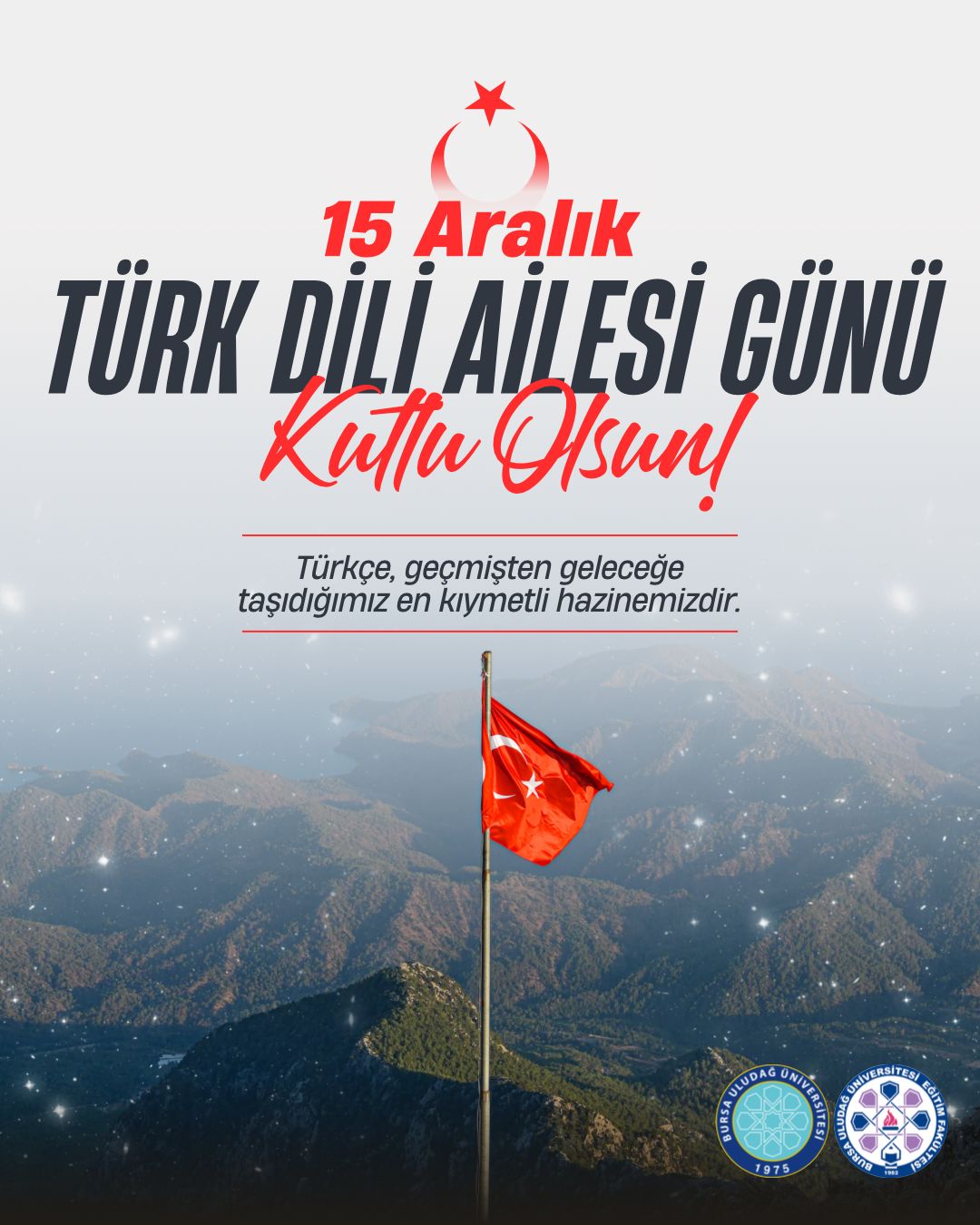  Türk dili ailesi